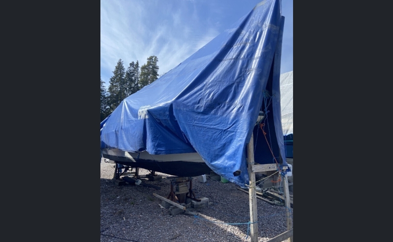 SeaStar 700 Cobra-kuva-3